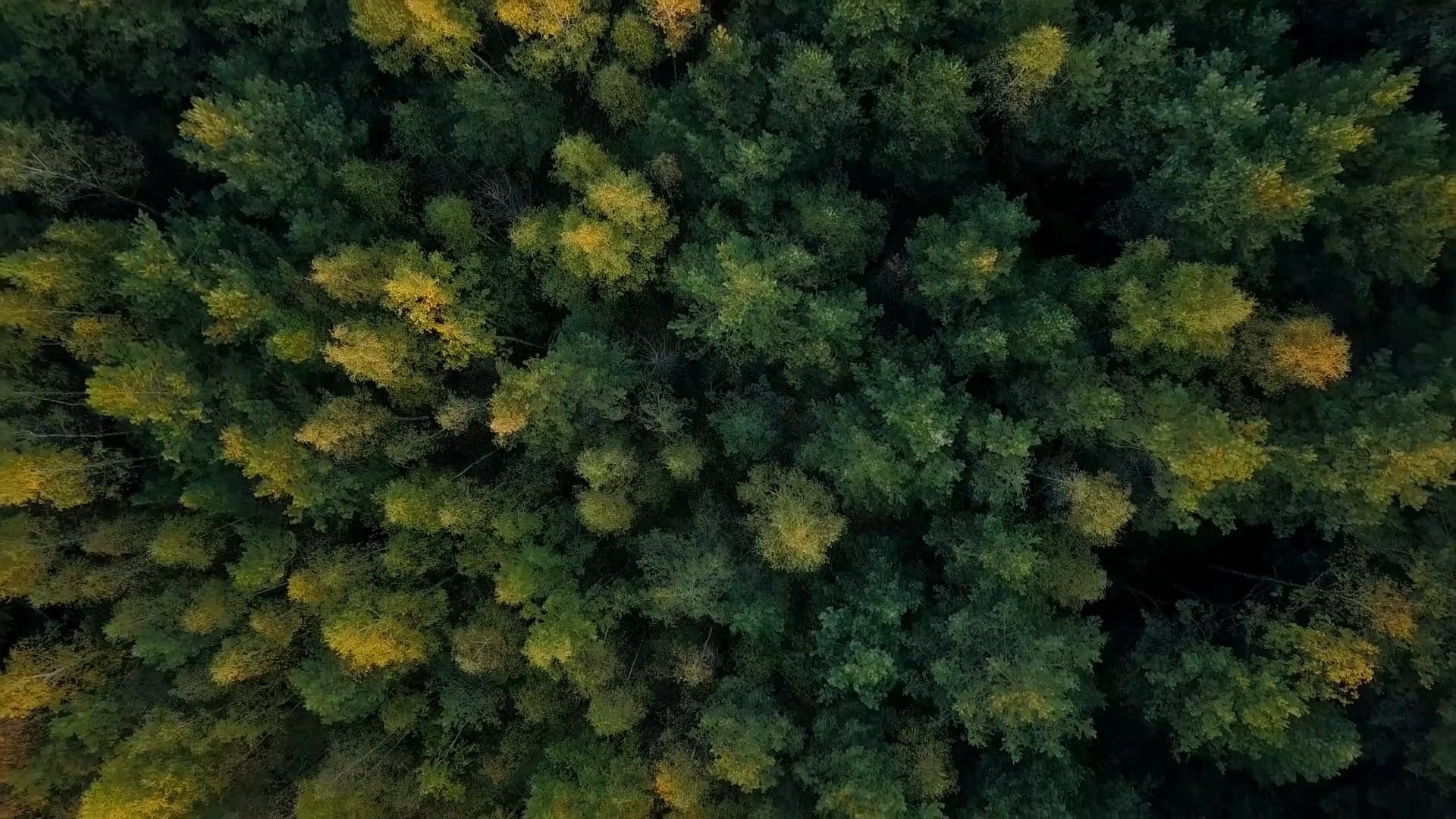 Le travail est en panne, place à l'auto-organisation