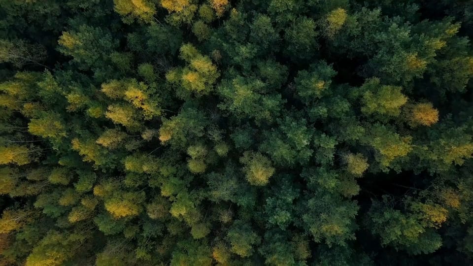 Le travail est en panne, place à l'auto-organisation